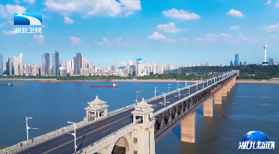 正风肃纪反腐2025 | 湖北以“精准滴灌”筑牢纪律防线