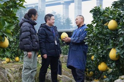 正风肃纪反腐2025 | 湖北上下“一盘棋”全面发力惩治“蝇贪蚁腐”