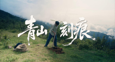 优秀作品展播 | 青山刻痕