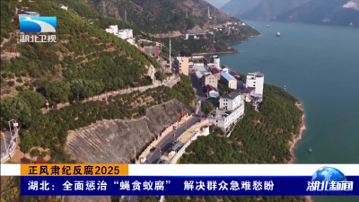 正风肃纪反腐2025 | 湖北：全面惩治“蝇贪蚁腐” 解决群众急难愁盼