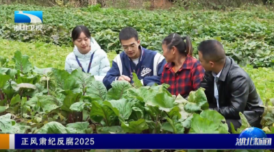 正风肃纪反腐2025 | 湖北：全省全覆盖 将巡视利剑直插基层