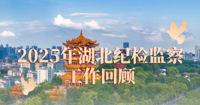 一图速览 | 2025年湖北纪检监察工作回顾