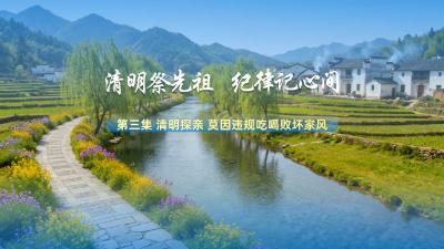 节日话廉 | 清明探亲 莫因违规吃喝败坏家风