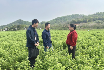 镜头 | 黄冈：监督推动履职尽责助力办好民生实事