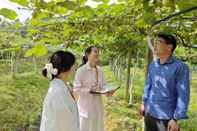 镜头丨咸宁：架好农村“三资”监督探头