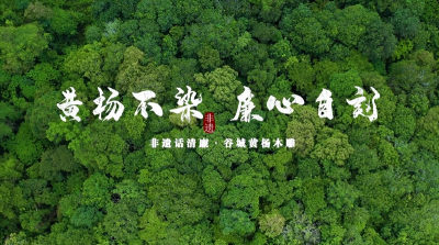 非遗话清廉 | 黄杨不染 廉心自刻