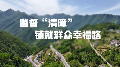 正风反腐在身边 | 监督“清障” 铺就群众幸福路