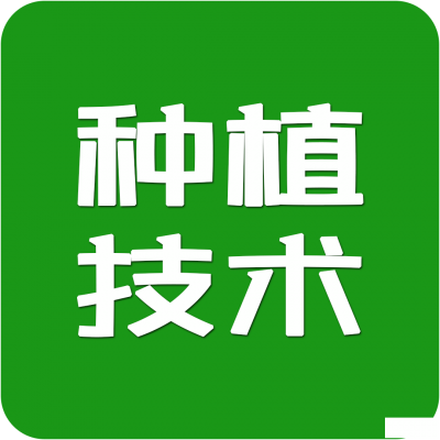 【种植技术】栽上的苗子因为太热受不了“死掉了”！！这份防治方案再忙也得看！