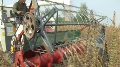 农民朋友注意：报废农机可领取补贴，最高1.8万元！