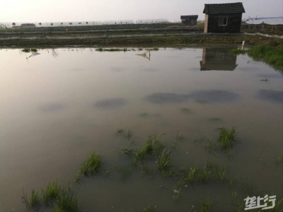 垄上水产百师问答082 | 池塘水中的钙离子非常高，pH值会升高吗？