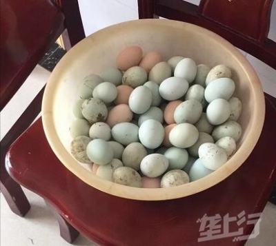 中秋节鸡蛋价格继续飘红