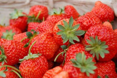 【草莓】草莓生长过程中为何要补充微量元素？如何补？