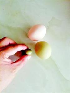 黄冈一村民家中母鸡产下“迷你鸡蛋”仅硬币大小 专家称母鸡受惊吓所产