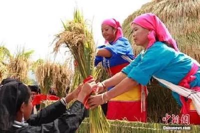 @所有人，中国农民丰收节来了！