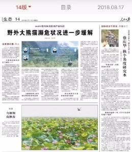 美！万荷飘香的洪湖，美上了人民日报和新华社！