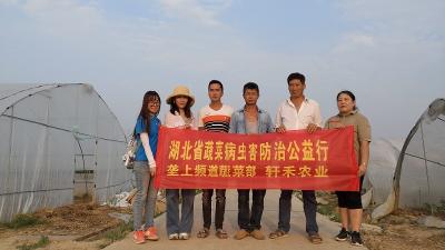 提升湖北蔬菜品质，助力农业精准扶贫，湖北省蔬菜病虫害防治公益行走进松滋