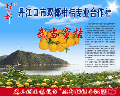 丹江口市双都柑桔专业合作社：以桔为业，合作共赢。“双都”源于水都，缘与首都