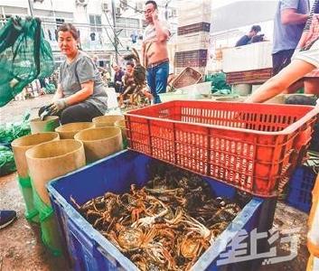 蟹农抢黄金周集中出货导致降价！国庆假期吃螃蟹可能最划算