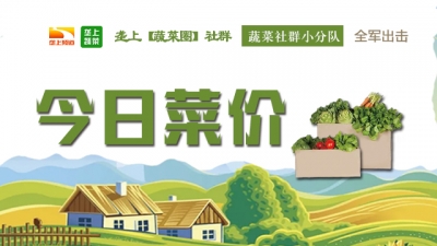 【今日菜价】11月6日湖北省应季蔬菜产地价格与市场价格行情 