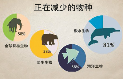 江豚濒危程度比大熊猫更严重 长江鲟连续18年未监测到自然繁殖