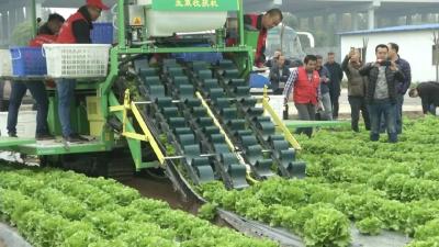 【种植技术】浅谈推广绿色农业种植技术的方法
