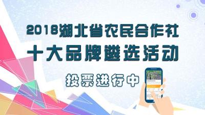 2018湖北省农民合作社十大品牌遴选活动开始投票啦！参与投票还有机会获万元大礼包