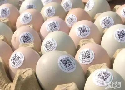 涨涨涨！“缺蛋”的广东蛋价已涨至4.6元/斤