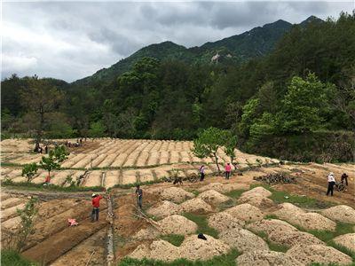 特色产业链串起贫困户 罗田产业扶贫经验走向全国