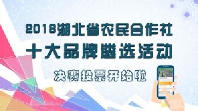 2018湖北省农民合作社十大品牌30进10投票结束！