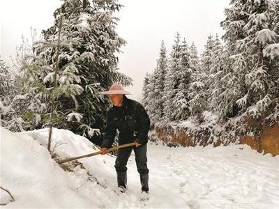 罗田七旬老人荒山植树35年 想让村里每座山头都变绿