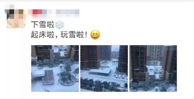 武汉降下“钻石雪”，蔬菜宝宝冻坏了，咋办？ 