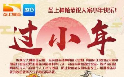 【今日菜价】1月29日湖北省应季蔬菜产地价格行情