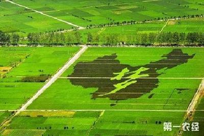 转变农业发展方式优化种养模式 荆州推进乡村振兴
