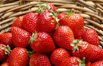 【草莓】大棚草莓想丰产？土壤是关键，这两点要注意