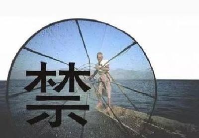 明年底前长江干流暂定禁捕10年 纳入地方考核体系