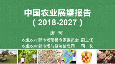 干货：中国农业展望报告，看懂未来10年农业发展趋势！