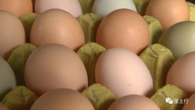鸡蛋不仅能吃 还能治癌症