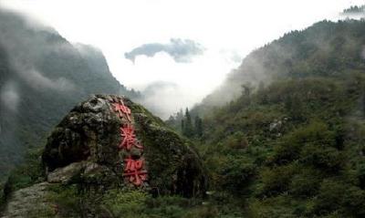 神农架原始森林入选第二届“中国最美森林”