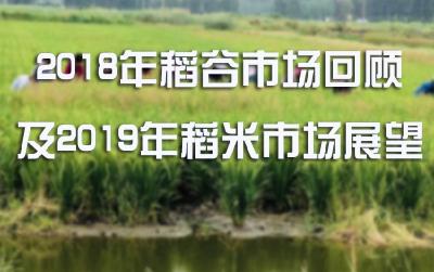 2018年稻谷市场回顾及2019年稻米市场展望