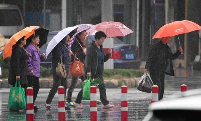 又要下好久！武汉迎来新一轮降雨，预计要到3月1日才停歇