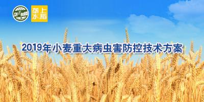 【必读】湖北省2019年小麦重大病虫害防控技术方案