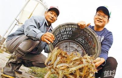 新一轮冲击来了，白虾供应或受重击！！厄瓜多尔全面限制车辆通行，伊朗白虾对中国出口将暂缓