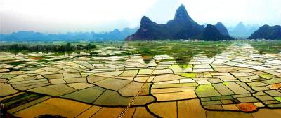 湖北省推进农业投入品减量行动 全面推行节肥、节药、节水等绿色生产技术