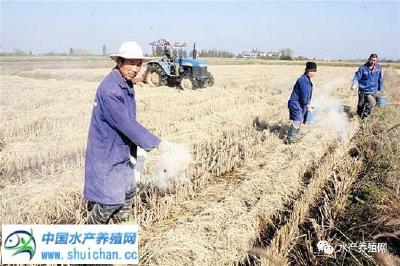 秸秆变木炭，塔里木盆地农民环保增收