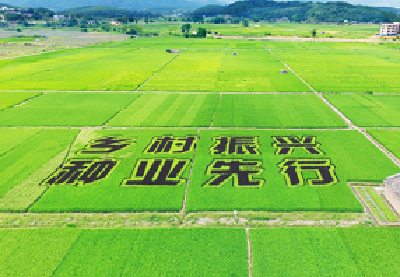 湖北发布首个乡村振兴五年规划 73项重大工程、重大行动、重大计划