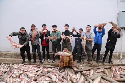 武汉一高校捕起4千斤鱼 900余名师生共享春鱼宴