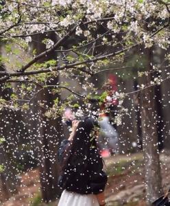 春无三日晴 湖北下周小雨又将光临