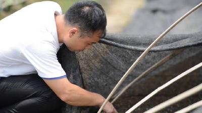 20万年薪IT男回乡种菜 摸索1年光土豆卖了1500万