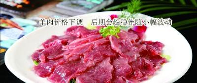 羊肉价格下调　后期会趋稳伴随小幅波动