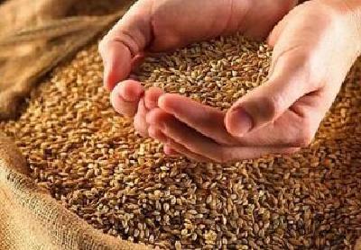 湖北2018年粮食品质报告发布 稻谷总体质量稳定提升